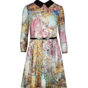Ted Baker Eponi Dress